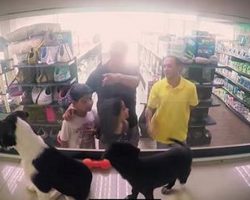 Pet Store Replaces All Its Animals With Rescue Pets And Customers Fall In Love