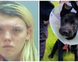 Abusive Woman Faces Felony Charges For Tying Puppy’s Mouth Shut For Weeks