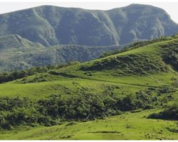 Photographer on hike discovers gigantic sleeping dog guarding a valley