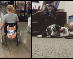 Teen Tells Stranger Not To Pet Her Service Dog And Has Seizure When He Doesn’t Listen