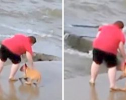 Woman Caught Repeatedly Throwing Puppy Into Lake, Police Refuse To Take Action