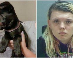 Woman Tormented & Disfigured Her Puppy For Weeks To ‘Keep Her Quiet’