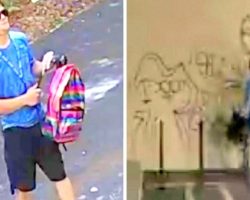 Cops Hunt Punk Who Vandalized Animal Hospital With Graffiti, Causing $2K In Damages