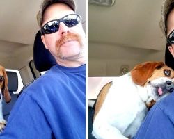 Dog On Kill List Saved At Last Minute, Hugs His Rescuer On The Way To Freedom