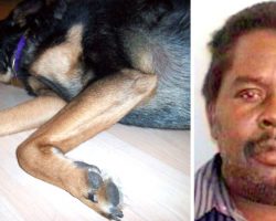 Dog Dies A Slow Death After Heartless Owner Refuses To Feed Him A Single Meal