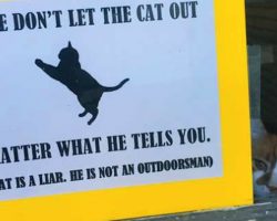 House Cat Who Always Tries Escaping Has Efforts Thwarted By Parents’ Sign