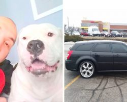 His Dog Needs Emergency Surgery, He’s Put Up His Car For Sale Out Of Desperation
