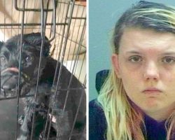 Woman Ties Puppy’s Snout For Weeks Because She “Whined” Too Much, Pup Can’t Eat Now
