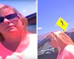 Woman Locks Her Dogs In 114F Hot Car, Cop Asks Her To Sit Locked In Same Hot Car