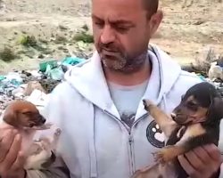 Man Finds 500 Strays, Gives Up His Job And Sells Everything To Care For Them