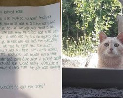 Family Surprised To Learn Their New Home Comes With A Feral Cat