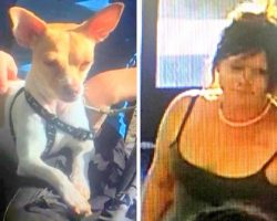 Man Suffers Seizure In Store & Dies, Woman Proceeds To Steal His Dog & Walk Away