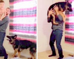 Dad Plays “The Flying Game” With Son, Then Gives Their Jealous Dog A Turn