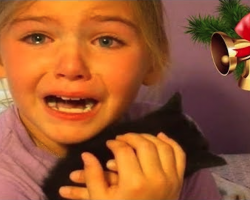 KIDS REACTIONS To Puppy And Kitten Surprise On Christmas – PRICELESS!
