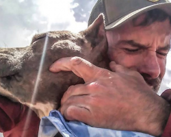 Man And His Dog Changed Each Other’s Entire Lives And Worlds