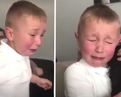 Bullied Little Boy Gets Puppy Surprise After School