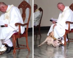 Dog Crashes Church Service, And The Priest Embraces His Inner Child