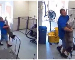 Negligent Groomer Seen Dragging Distressed Dog By Legs & Violently Pulling His Neck