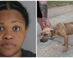 Woman Doesn’t Want Dog Her Roommate Left Behind So She Tosses It From Moving Car