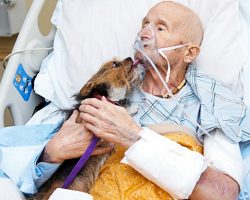 Dying Vietnam Veteran In Hospice Care Says Final Goodbye To His Beloved Dog
