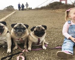 Kids Growing Up with Dogs as Their Best Friends