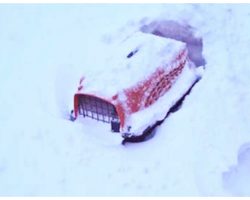 Pet Carrier Was Buried In Snow By Plow And Assumed Empty’Til A Tiny Ear Popped Out