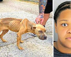 Spineless Woman Tosses Malnourished Puppy Out Of Car Window & Flees The Scene
