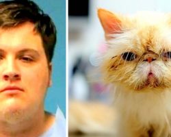 19-Year-Old Mutilates Cat In Restaurant Bathroom To Get Revenge For Being Fired