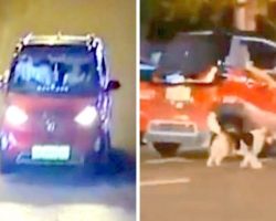 Woman Ties Dog To Car And Drags Him Alongside Car On Busy Street Full Of Traffic