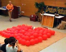 Dog Sets Guinness World Record For Fastest Time To Pop 100 Balloons By A Dog
