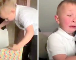 Boy Gets Tortured By Bullies At School, Cries His Heart Out When He Gets A Puppy