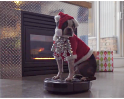 Dog In A Santa Suit Takes A Ride On A Roomba To Kick Off The Holiday Season