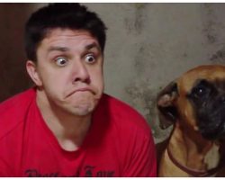 Dog Threw “Hilarious Fit” When His Dad Started Imitating His Every Move