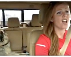 Dog’s Favorite Song Comes On And Mom Decided To Join-In For A Duet Performance