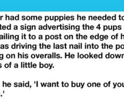 Little Boy Picked Out Crippled Pup From The Farmer’s Litter To Buy