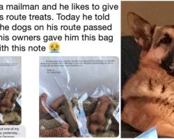 Mailman Gave Treats To Dogs On His Route, And When One Died, Owners Gave Him A “Sweet Note”