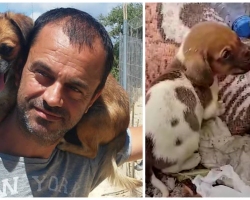 Man Gives Up Everything He Owns To Save Stray Dogs