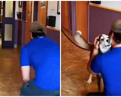 Lost For 3 Yrs, He Howls With Joy When He Sees His Dad Standing In Front Of Him