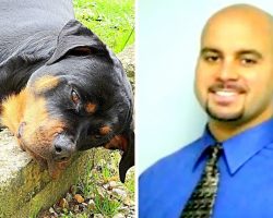 Well-Known Chiropractor Gets “Annoyed” At Barking Dog, Chases And Shoots Him 7 Times