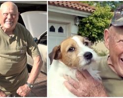 78-Year-Old Vietnam Veteran Brawls With Bobcat To Protect His Helpless Pooch