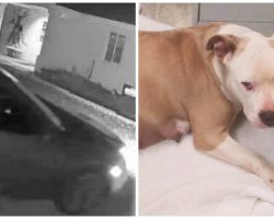 They Dragged & Stuffed Her Pregnant Body In A Trunk & Dumped Her In Empty Lot