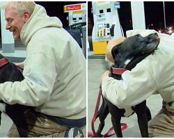 Homeless Veteran Reunites With Beloved Service Dog A Month After She Was Stolen