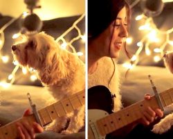 Star-Struck Dog Gets Lost In Mama’s Eyes As She Sings Her A Sweet Christmas Song
