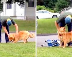 Dog And Her “Favorite” Trash Man Wait All Day For Their 2-Minutes With Each Other