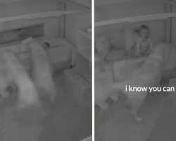 Dogs Break Into Bedroom, Woke Toddler, And Convinced Her To Go Help Them Find Snacks