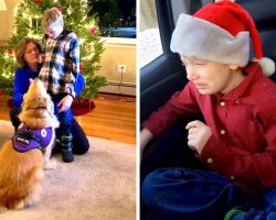 Mall Bans 9-Year-Old Epileptic Kid From Meeting Santa Because Of His Service Dog