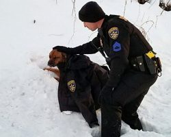 Cop Comforts Pup Hit By Car, Drapes His Jacket Over Her While They Wait For Help