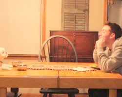 Parents On Cruise Pester Son To Babysit Dog, So He Sends Them A Funny Update Video