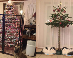 22 Fed-Up Owners Who Found Clever Ways To Pet-Proof The Christmas Tree