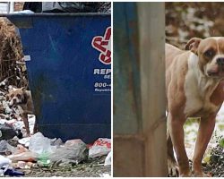 Family Left Her In Dumpster To Wither Away As Freezing Snow Came Down On Her